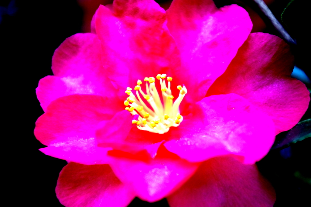 f:id:hnk0404:20180103005611j:plain f:id:hnk0404:20180103005611j:plain