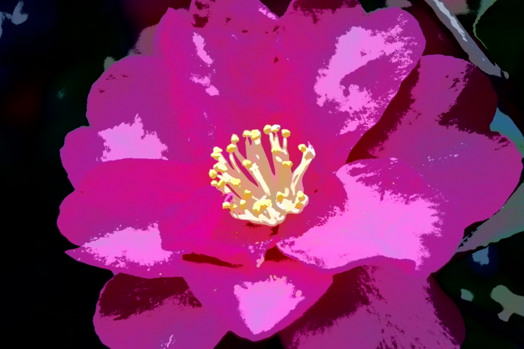 f:id:hnk0404:20180103005618j:plain f:id:hnk0404:20180103005618j:plain