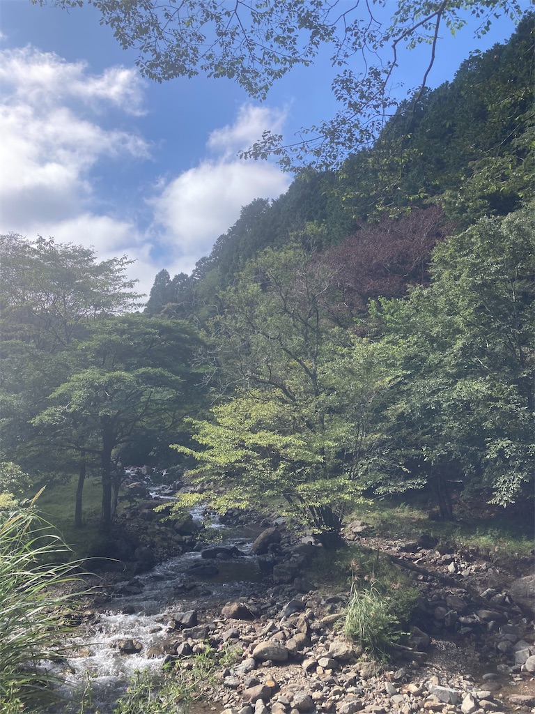 f:id:hnktnr17:20210901145612j:image f:id:hnktnr17:20210901145612j:image