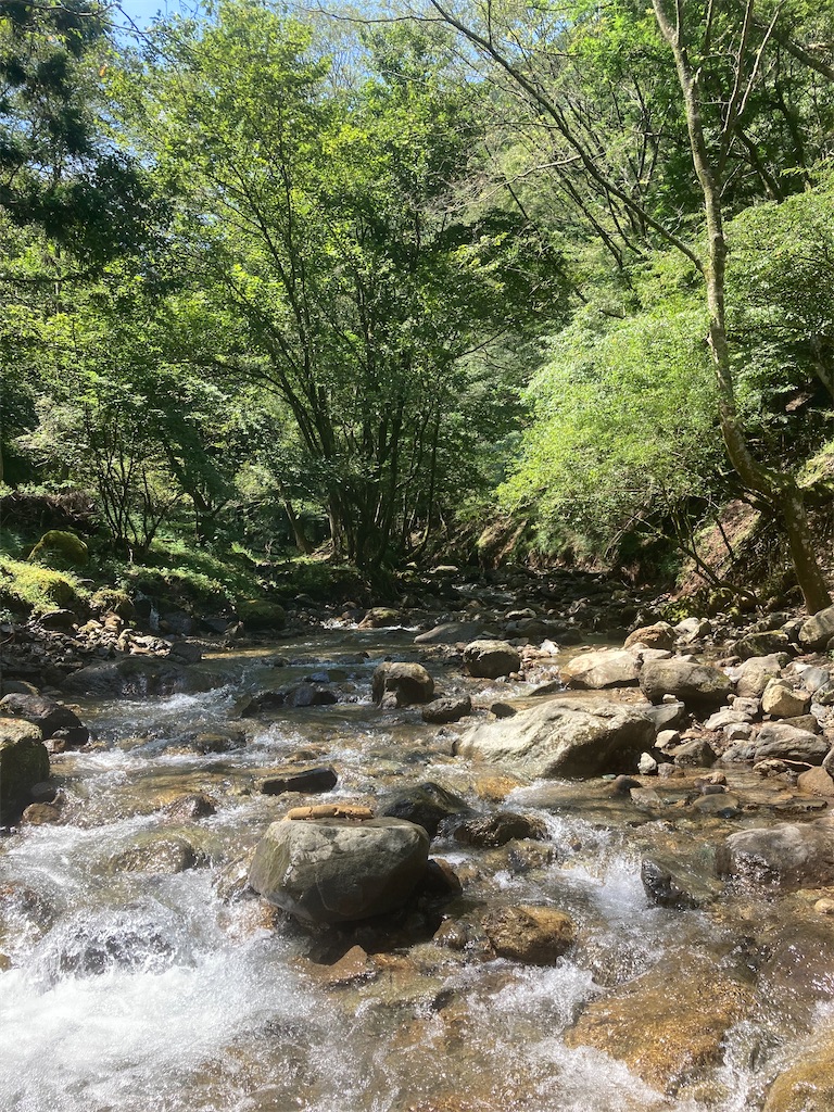 f:id:hnktnr17:20210901145632j:image f:id:hnktnr17:20210901145632j:image