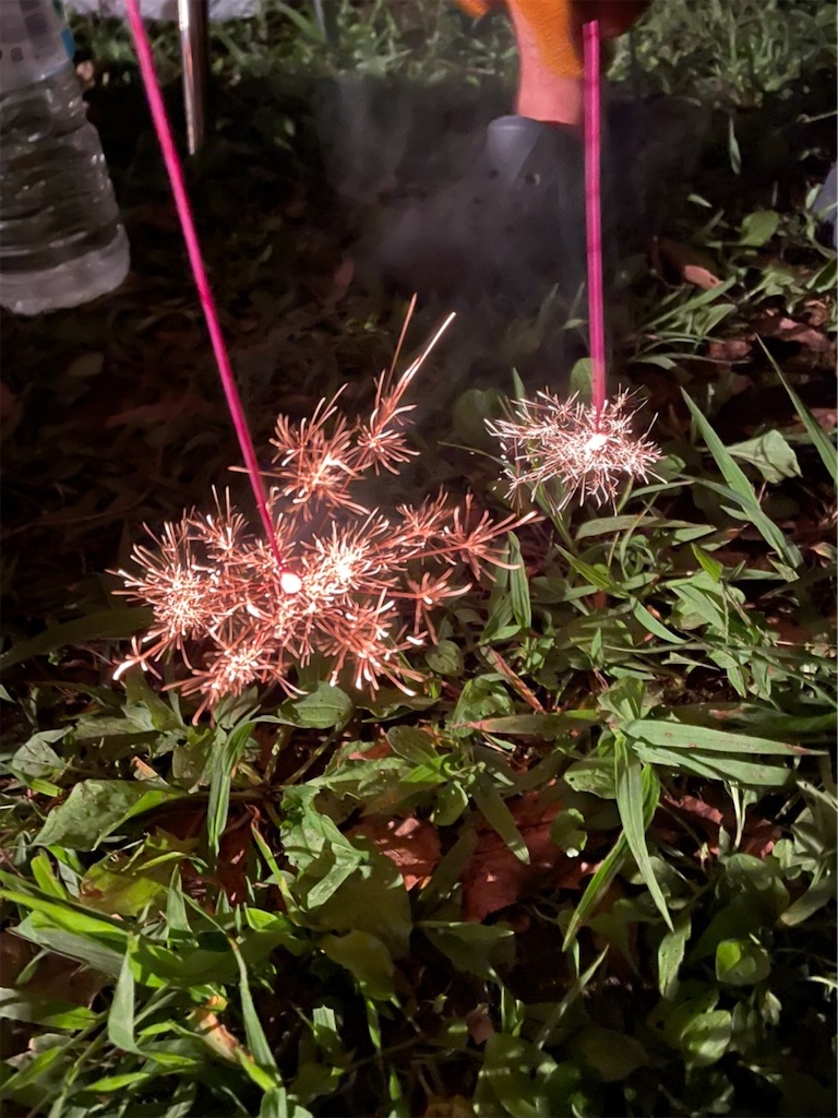 f:id:hnktnr17:20210916133705j:image f:id:hnktnr17:20210916133705j:image