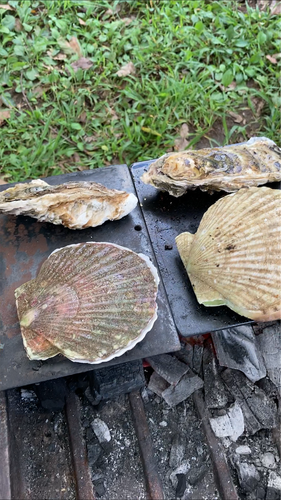 f:id:hnktnr17:20210916133744p:image f:id:hnktnr17:20210916133744p:image