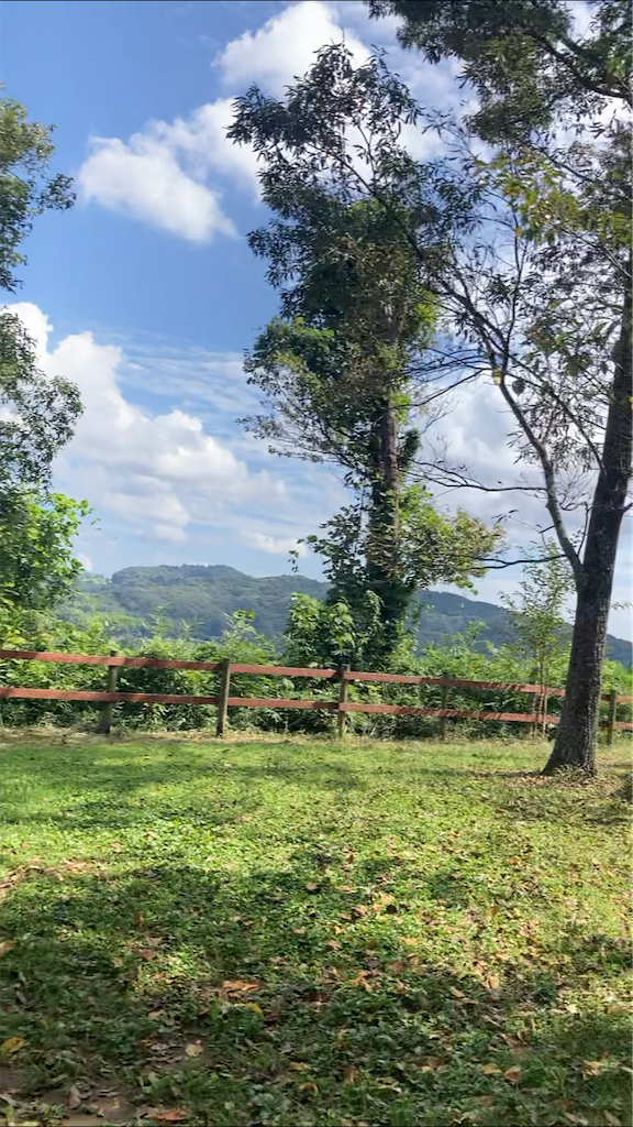 f:id:hnktnr17:20210916133809p:image f:id:hnktnr17:20210916133809p:image