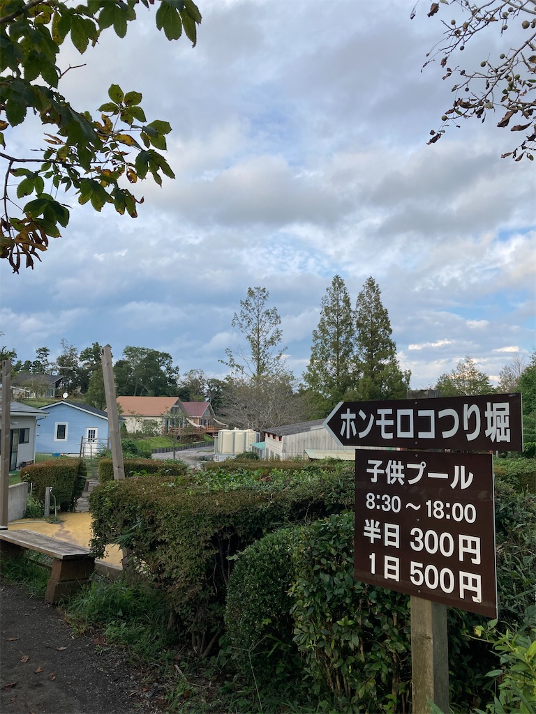 f:id:hnktnr17:20210916133817j:image f:id:hnktnr17:20210916133817j:image