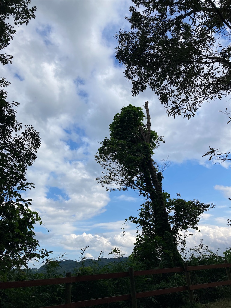 f:id:hnktnr17:20210916133827j:image f:id:hnktnr17:20210916133827j:image