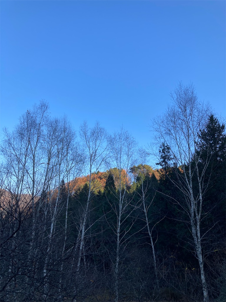 f:id:hnktnr17:20211122201357j:image f:id:hnktnr17:20211122201357j:image