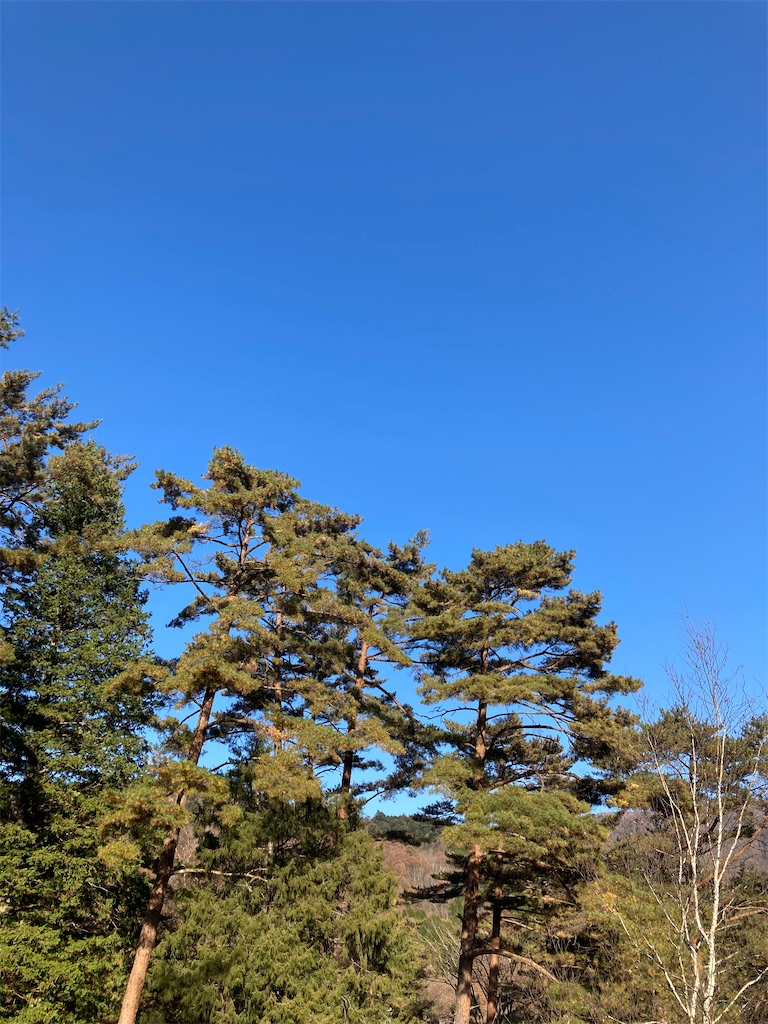 f:id:hnktnr17:20211122201421j:image f:id:hnktnr17:20211122201421j:image