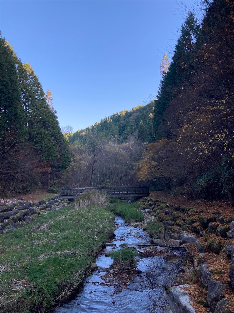 f:id:hnktnr17:20211122201434j:image f:id:hnktnr17:20211122201434j:image