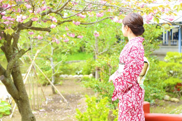 f:id:hnktokmn:20190206083742j:plain f:id:hnktokmn:20190206083742j:plain