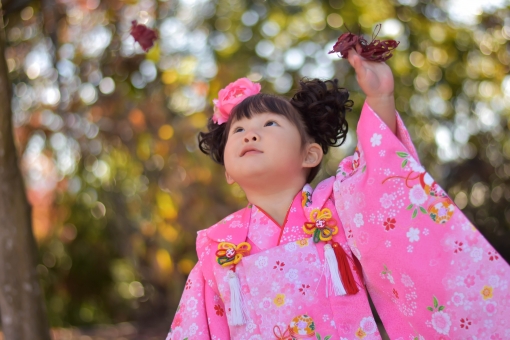 f:id:hnktokmn:20190213185903j:plain f:id:hnktokmn:20190213185903j:plain