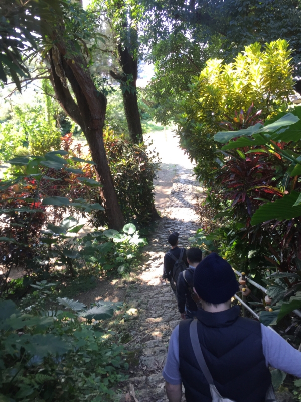 f:id:hnnhnmrk:20161222120510j:plain