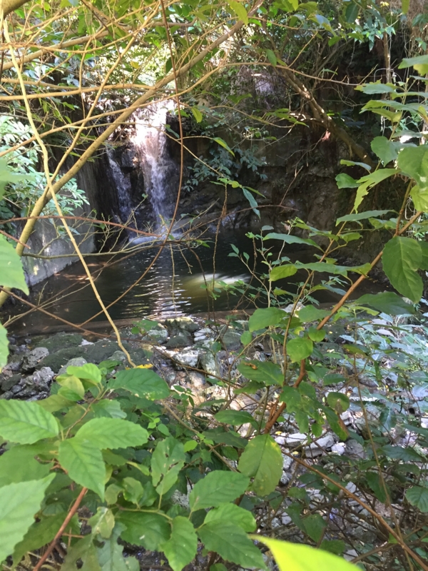 f:id:hnnhnmrk:20161222120520j:plain