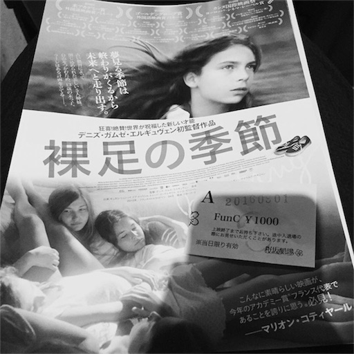 f:id:hnnhnmrk:20170123174316j:image