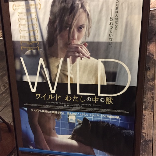 f:id:hnnhnmrk:20170123174957j:plain