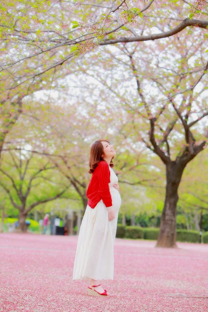 f:id:hnpp:20170509190731j:plain