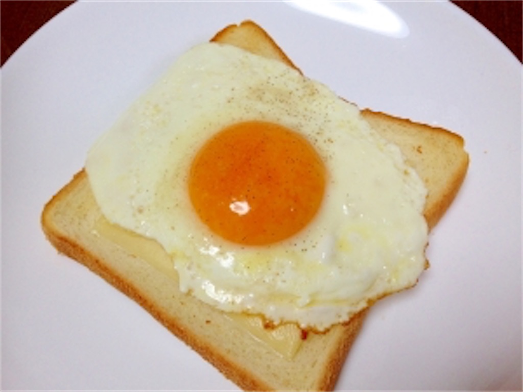 f:id:ho-oboeru:20191218205617j:image