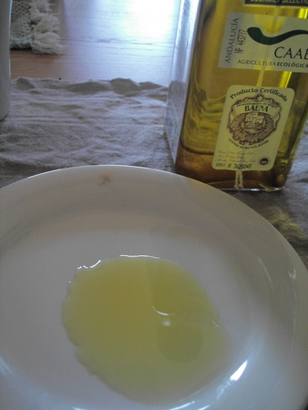 f:id:ho4kawa:20040220100322j:image