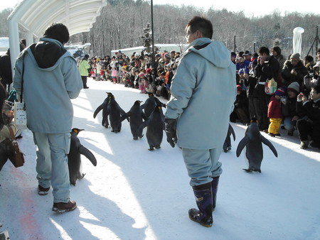 f:id:ho4kawa:20060108120647j:image