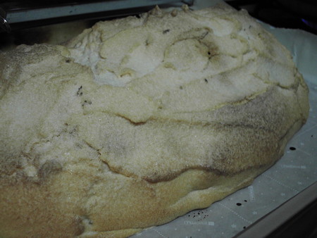 f:id:ho4kawa:20070408194524j:image