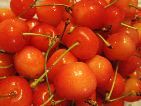 f:id:ho4kawa:20070629220601j:image f:id:ho4kawa:20070629220601j:image