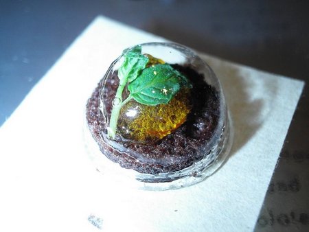 f:id:ho4kawa:20080120002816j:image