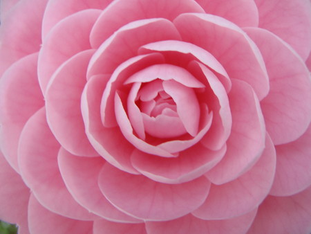 f:id:ho4kawa:20080405160300j:image