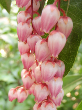 f:id:ho4kawa:20080405160431j:image