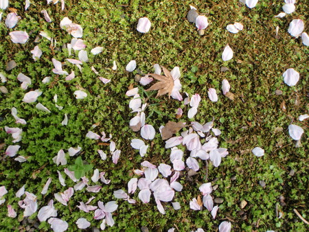 f:id:ho4kawa:20080405161418j:image