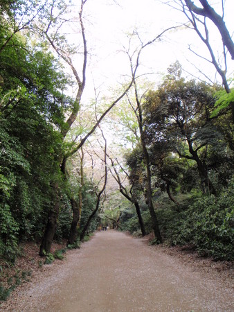 f:id:ho4kawa:20080405162535j:image