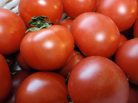 f:id:ho4kawa:20080413204113j:image