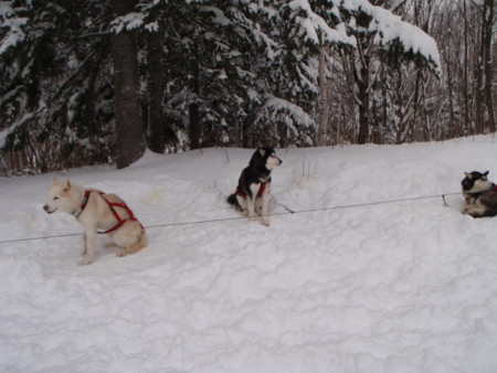 f:id:ho4kawa:20090111151302j:image