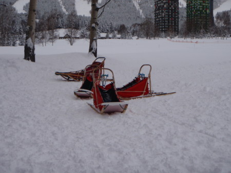 f:id:ho4kawa:20090111151824j:image