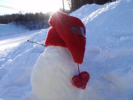 f:id:ho4kawa:20090225010758j:image