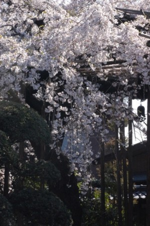 f:id:ho4kawa:20090329145401j:image