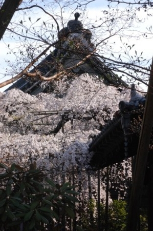 f:id:ho4kawa:20090329150139j:image