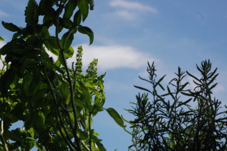 f:id:ho4kawa:20090725125253j:image