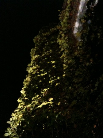 f:id:ho4kawa:20091023211519j:image f:id:ho4kawa:20091023211519j:image