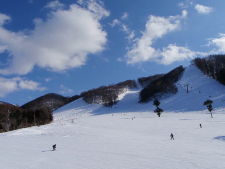 f:id:ho4kawa:20100130143547j:image f:id:ho4kawa:20100130143547j:image