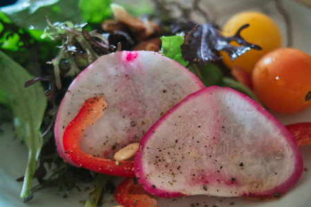 f:id:ho4kawa:20101023102103j:image