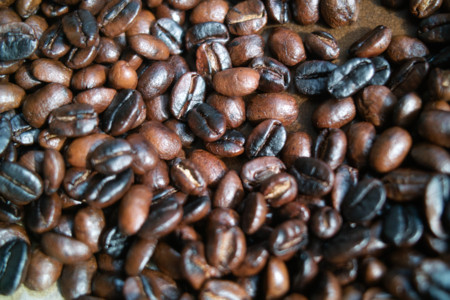 f:id:ho4kawa:20101023131423j:image