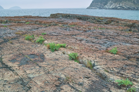 f:id:ho4kawa:20110430125054j:image f:id:ho4kawa:20110430125054j:image