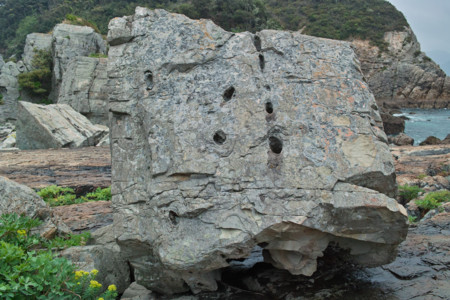 f:id:ho4kawa:20110430132657j:image f:id:ho4kawa:20110430132657j:image