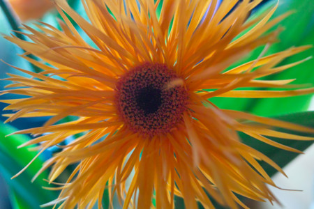 f:id:ho4kawa:20110911122619j:image