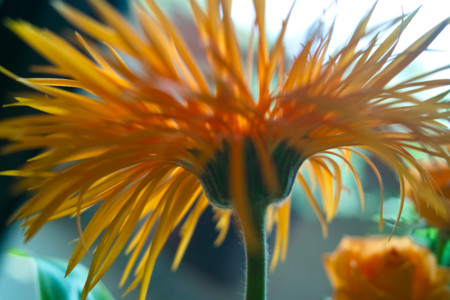 f:id:ho4kawa:20110911122655j:image