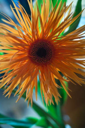 f:id:ho4kawa:20110911122748j:image