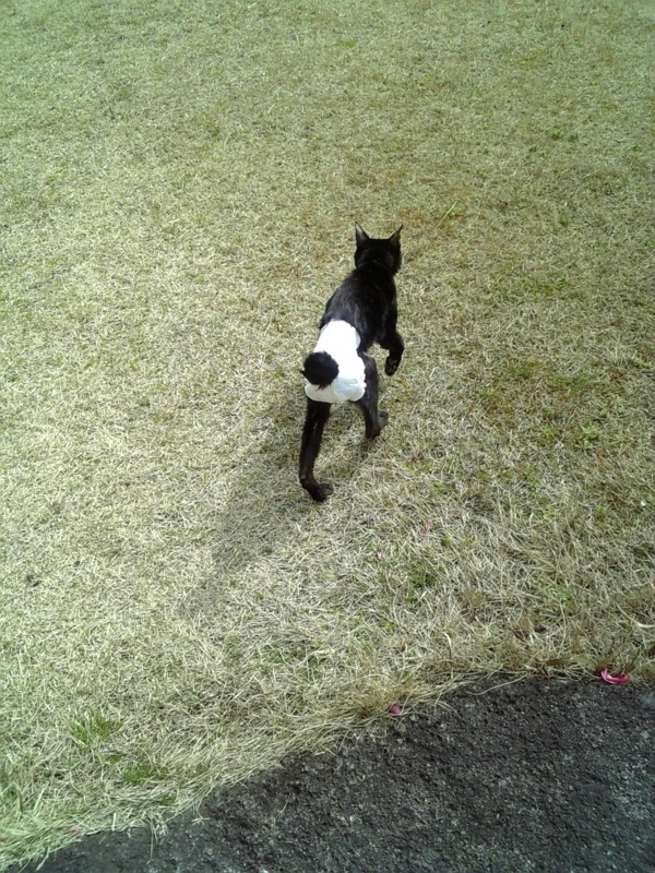 今思うとなんだったのかな？