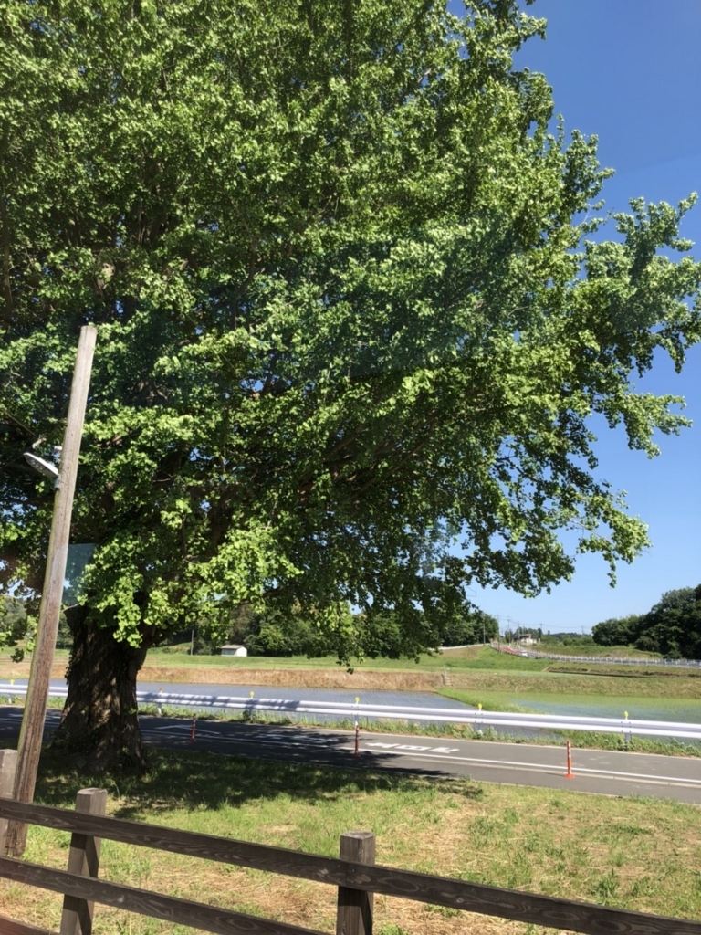 f:id:ho8810:20180508233038j:plain