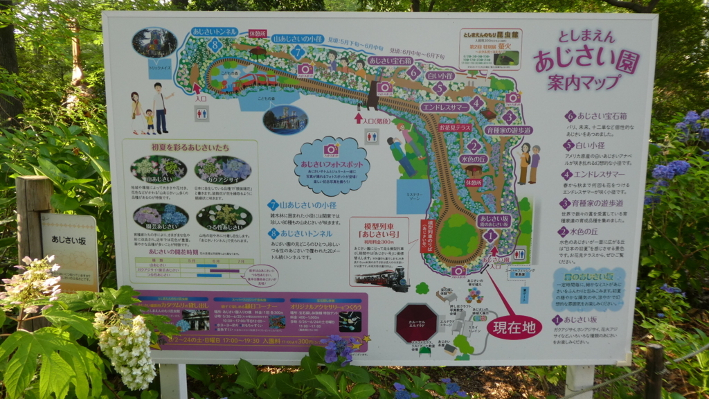 f:id:ho8810:20180727162714j:plain