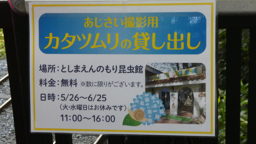f:id:ho8810:20180727182419j:plain