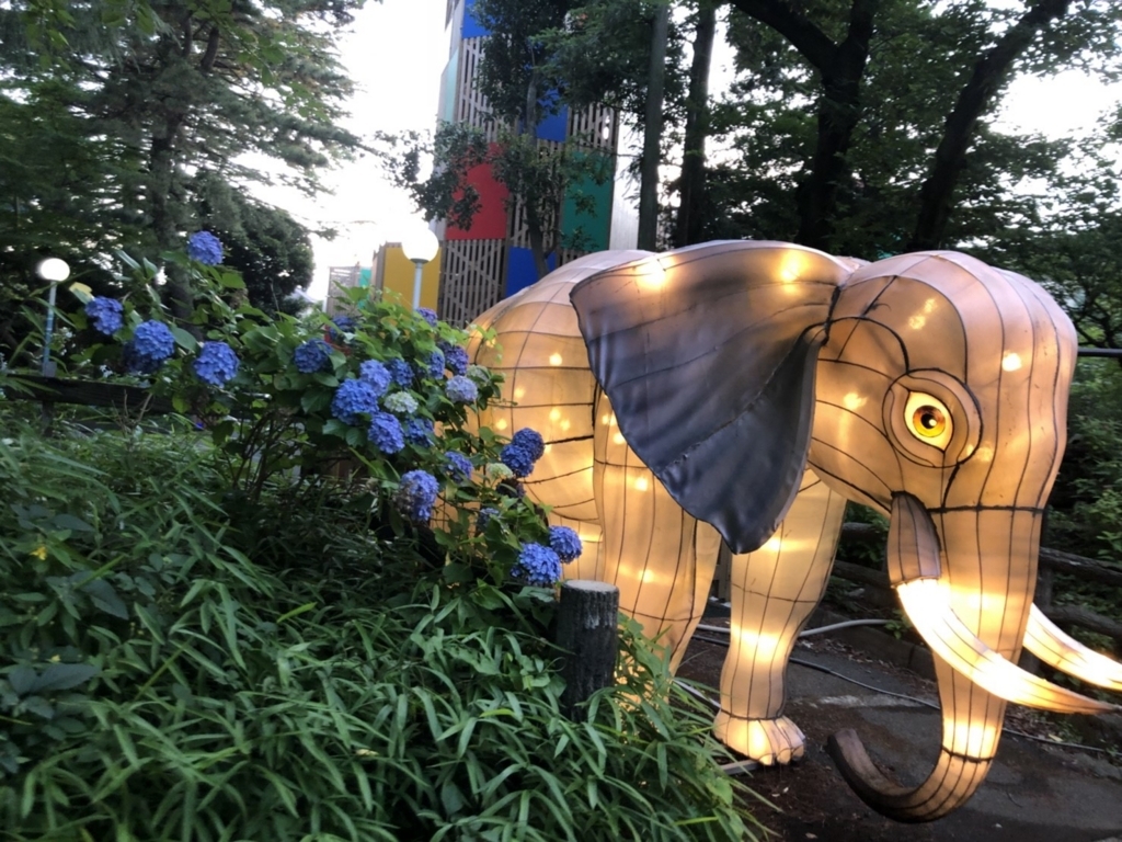 f:id:ho8810:20180730114351j:plain